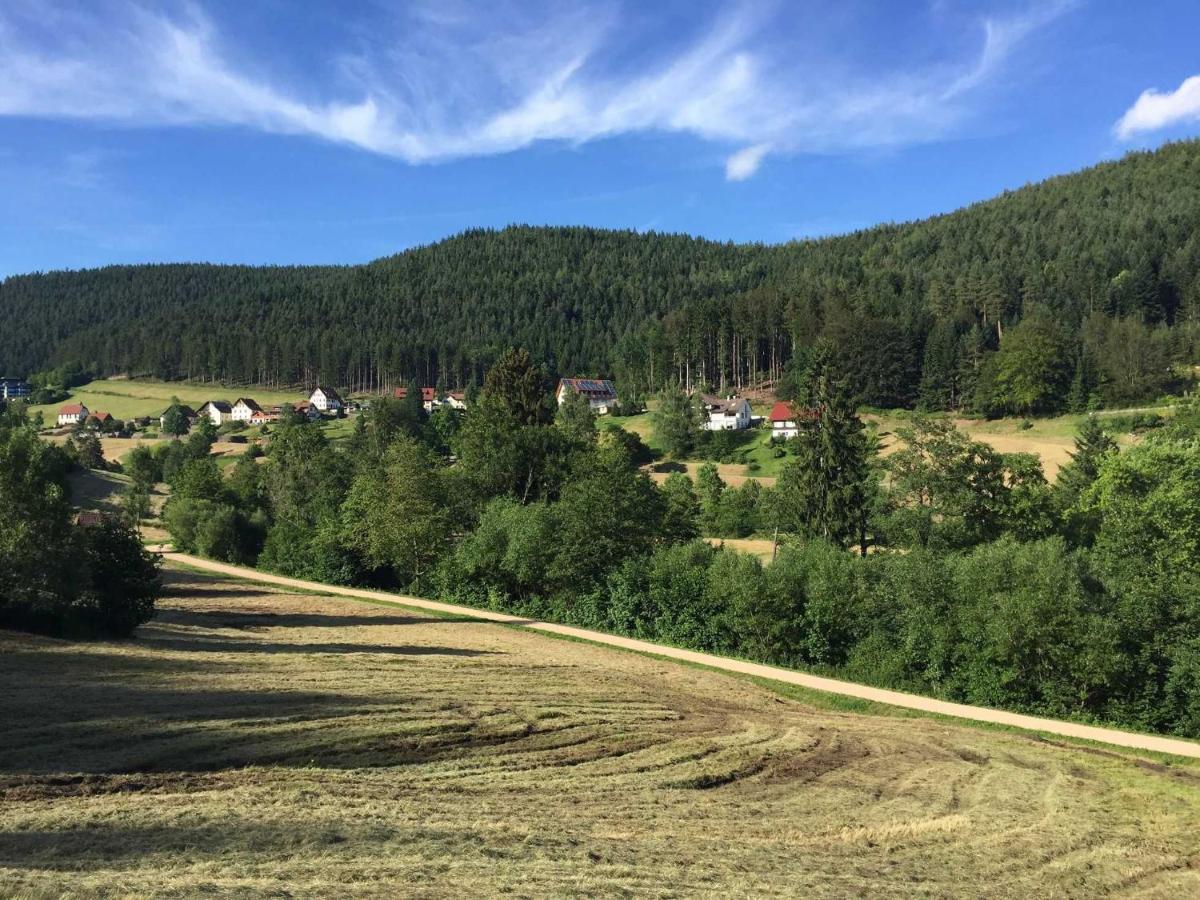 Ferienwohnung Herbert Best Baiersbronn Exteriér fotografie