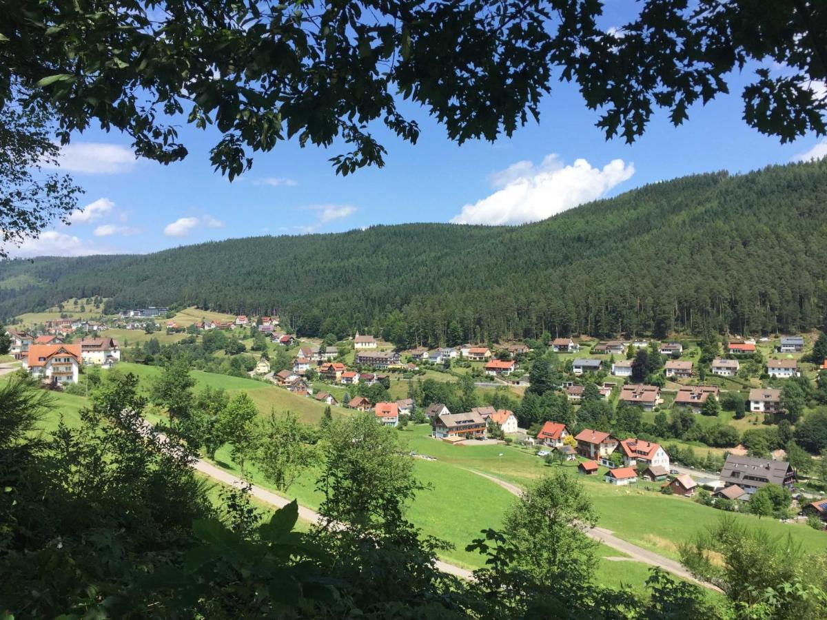 Ferienwohnung Herbert Best Baiersbronn Exteriér fotografie